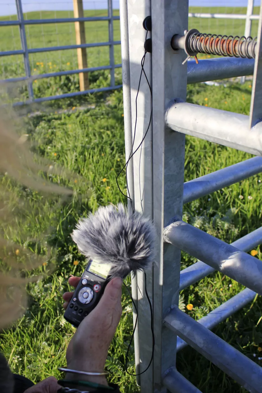 Iron fence with a sound recorder connected to it