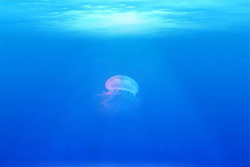 Underwater sound