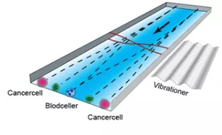 Schematisk bild över celler som leds in i ett glaschip 